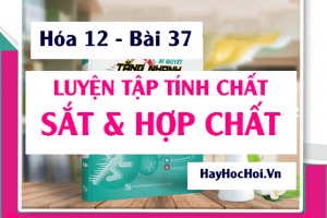 Bài tập luyện tập về Sắt Fe và hợp chất của Sắt (II) Sắt (III) - Hóa 12 bài 37